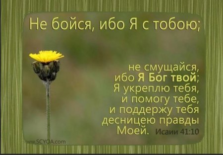 Слова поддержки из Библии