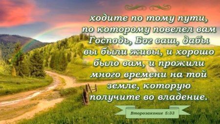 Стихи из Библии в картинках