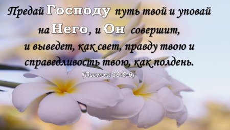 Христианские открытки со стихами из Библии
