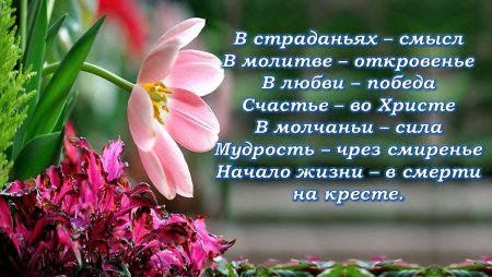 Счастья благословений