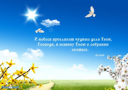 Афоризмы про небо