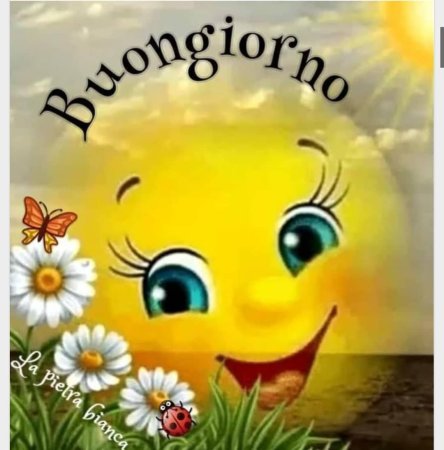 Доброе утро солнышко