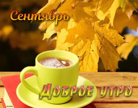 Теплого осеннего утра