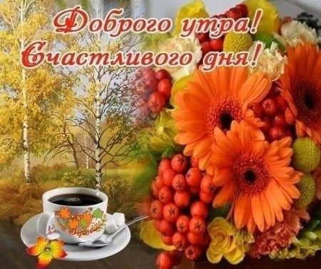 Осеннего утра и хорошего настроения