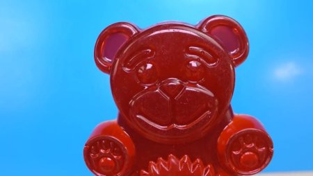 ЖЕЛЕЙНЫЙ медведь Варела