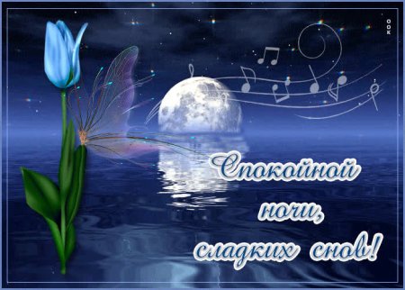 Пожелания спокойной ночи с ромашкам