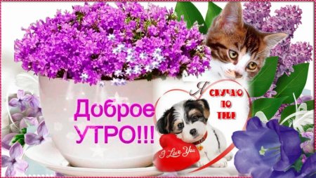 С добрым утром любимая бабушка