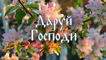 Многая лета