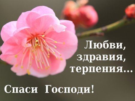 Православные пожелания