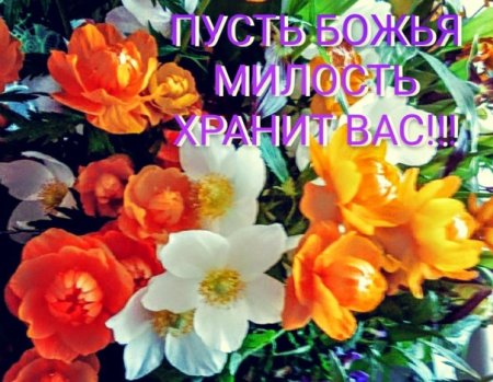 Долгие лета поздравление