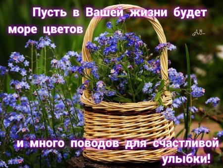 Летнее приветствия и пожелания