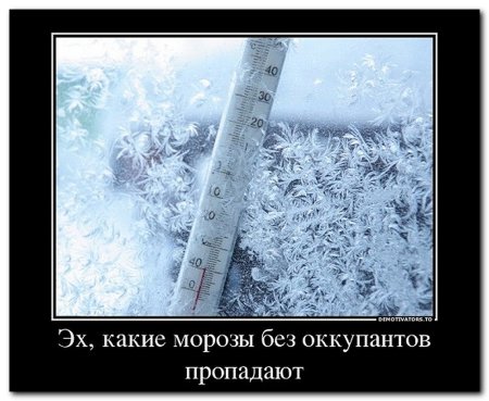 Сильный Мороз прикол