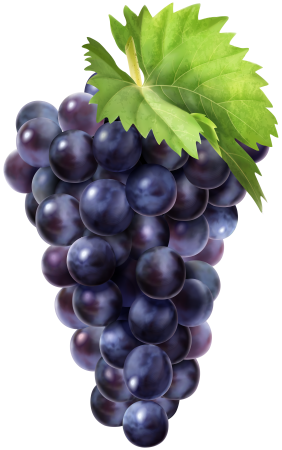 Фрукты виноград