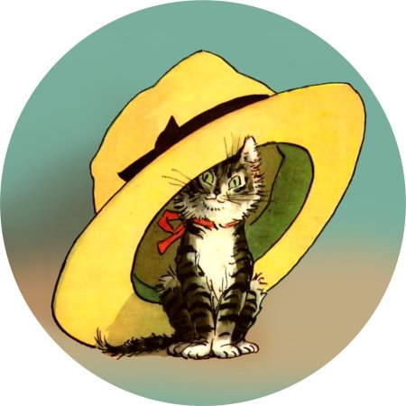 Произведение Николая Носова Живая шляпа