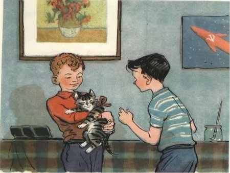 Живая шляпа Носова