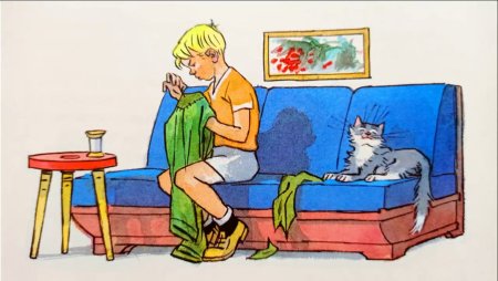 Н Н Носов заплатка