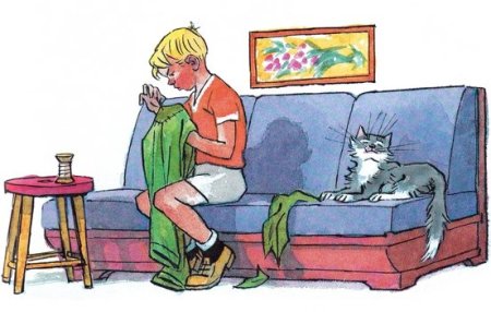 Н.Носов заплатка рассказ