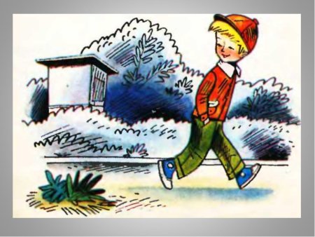 Николай Николаевич Носов заплатка