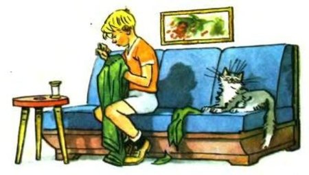 Иллюстрация к рассказу заплатка Носова