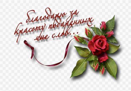 Благодарю за поздравления очень приятно