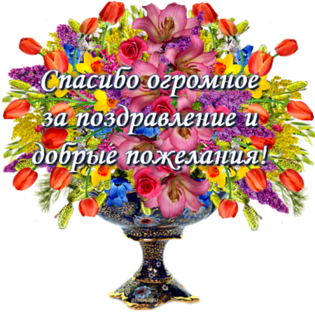Спасибо большое за поздравления