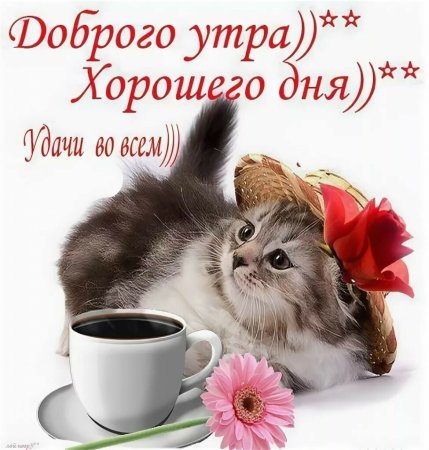 Доброе утро зорошего дея