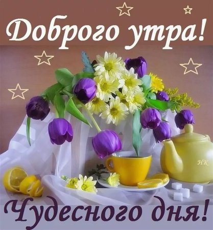Доброе утро хорошеготдня