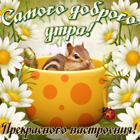 Доброго утра и хорошеготнастроения
