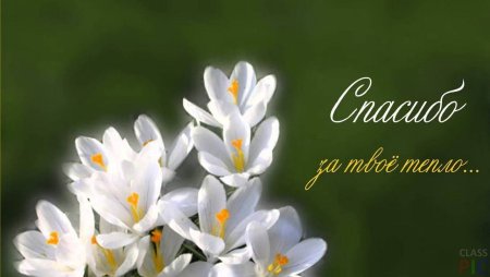 Открытка благодарность за заботу