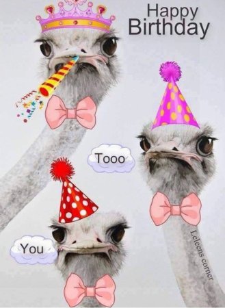 Happy Birthday прикольные
