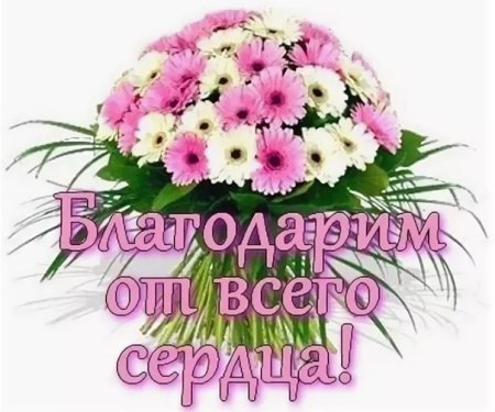 Спасибо за ваш труд