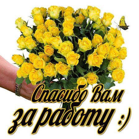 Спасибо огромное за работу