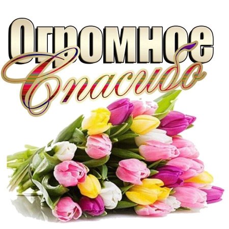 Огромное спасибо за труд