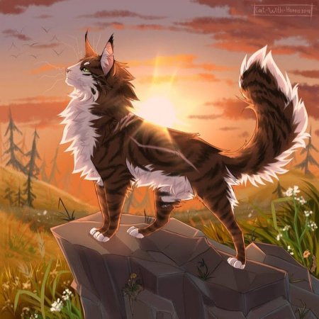 Коты Воители Дубозвезд