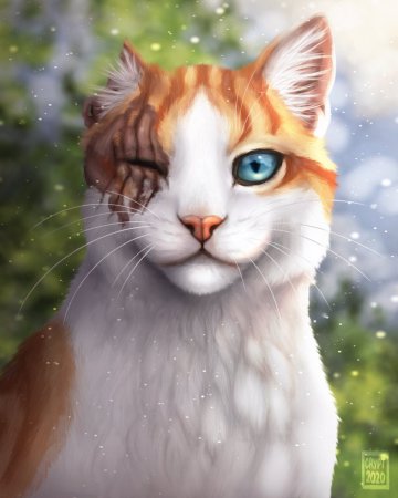 Коты коителт яроклдика