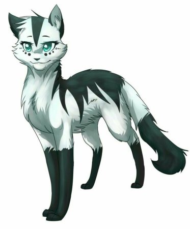 Коты Воители аниме