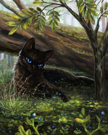 Коты Воители берестенник