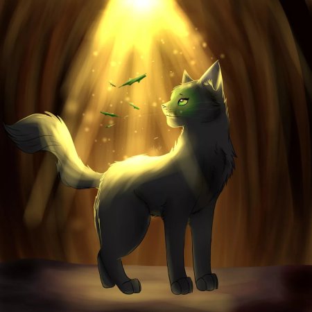 Коты воителостролистая