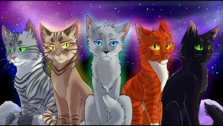 Коты Воители 5 племен