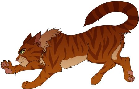 Коты Воители Остроглаз