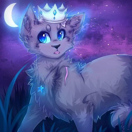 Коты Воители Синеголаз