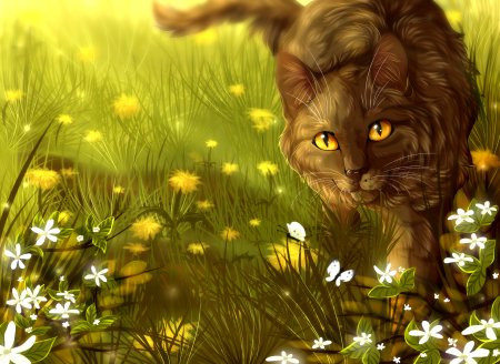 Коты Воители Солнцезвезд