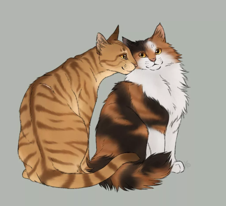 Коты Воители бурый и Медуница