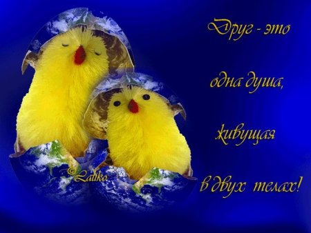 Открытки про дружбу