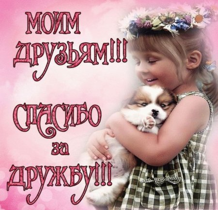 Открытки про дружбу
