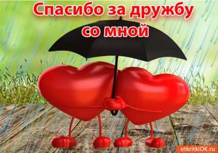 Открытки спасибо за дружбу