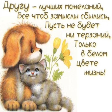 Хорошие открытки для друзей