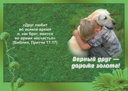 Стихи из Библии про дружбу