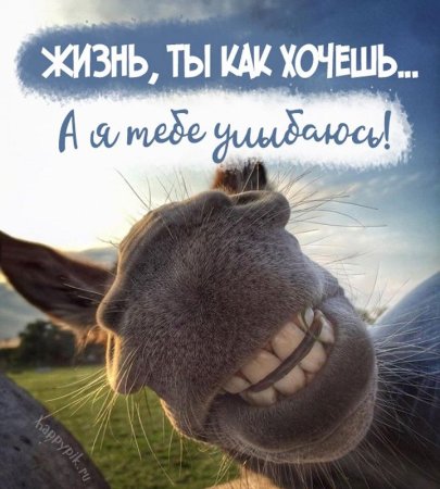 Улыбнись жизнь прекрасна