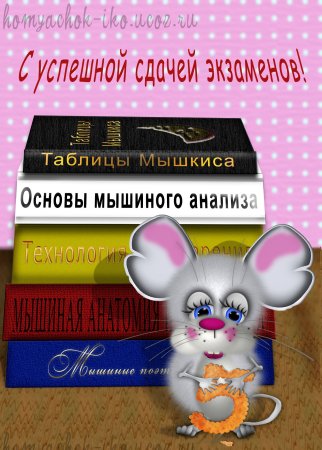 Поздравление с экзаменом